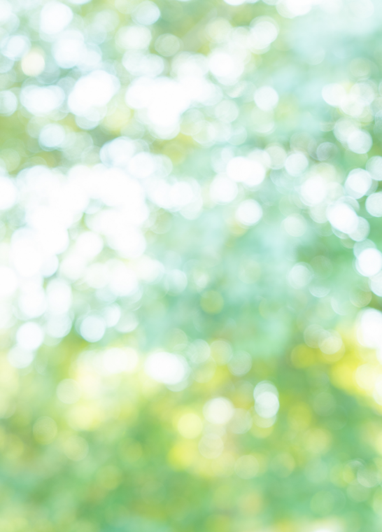 パートナー企業様募集