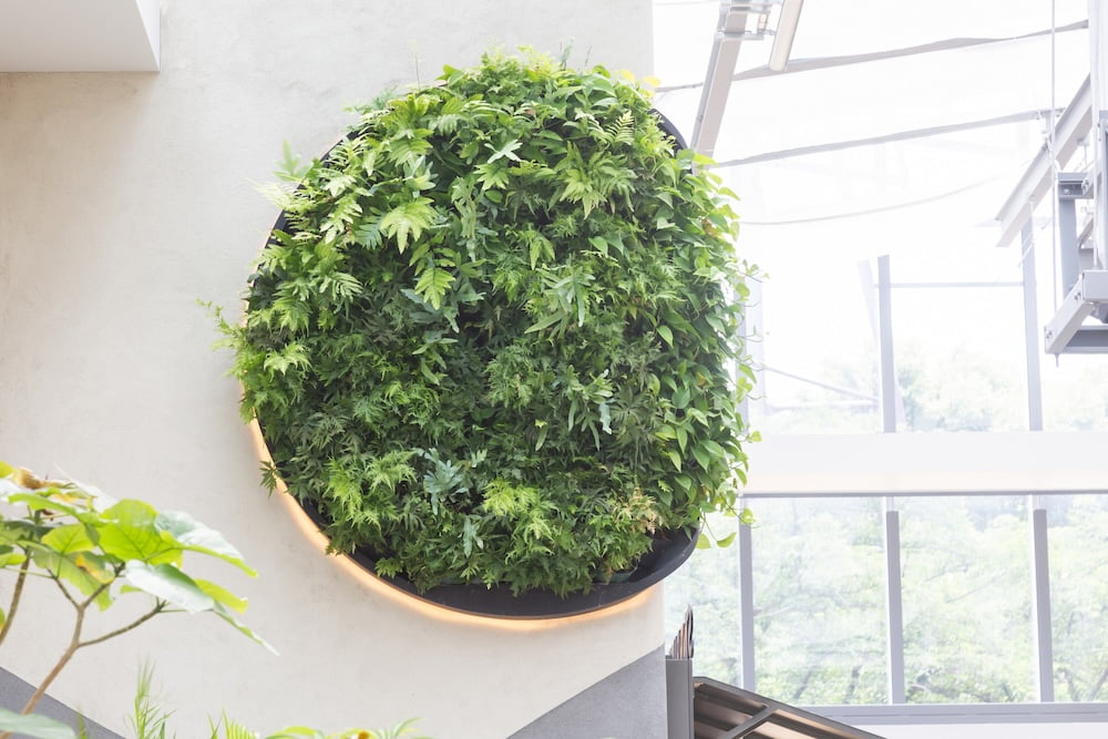 店舗の採光基準とは