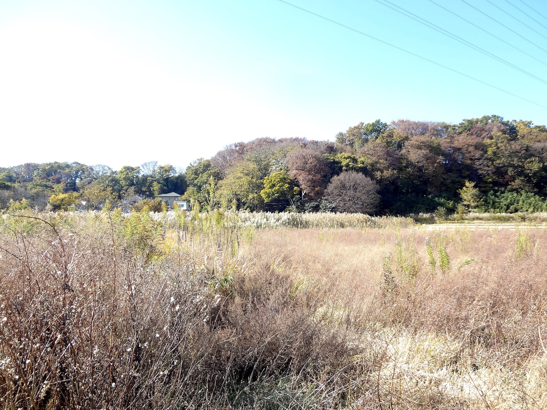 市街化調整区域での建築を可能にする34条の例外規定