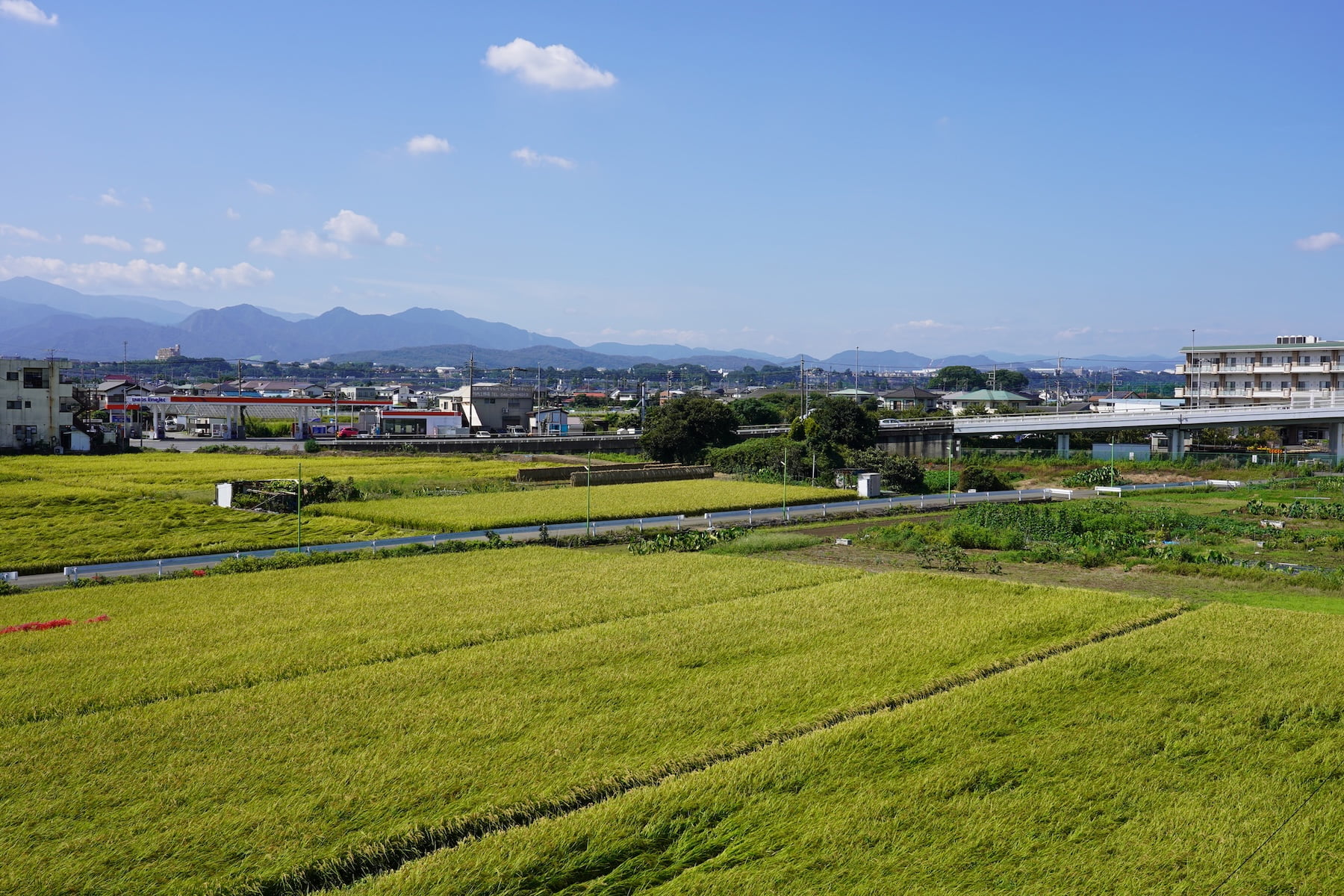調整区域での建築可否を分ける境界線