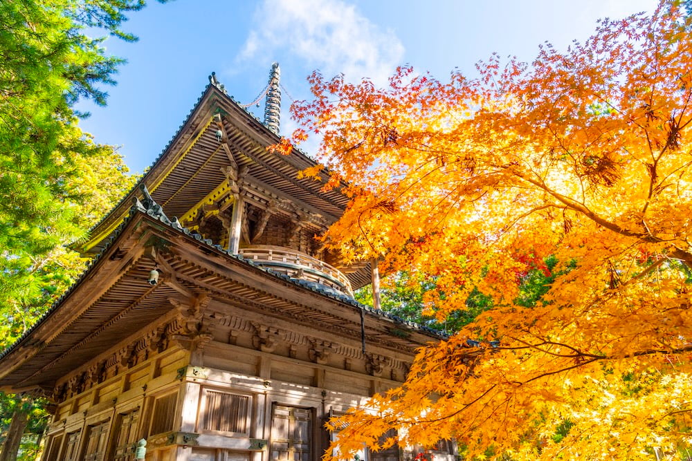 準景観地区および美観地区との法的な差異